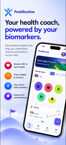 PeakRoutine 官方商店界面图 1